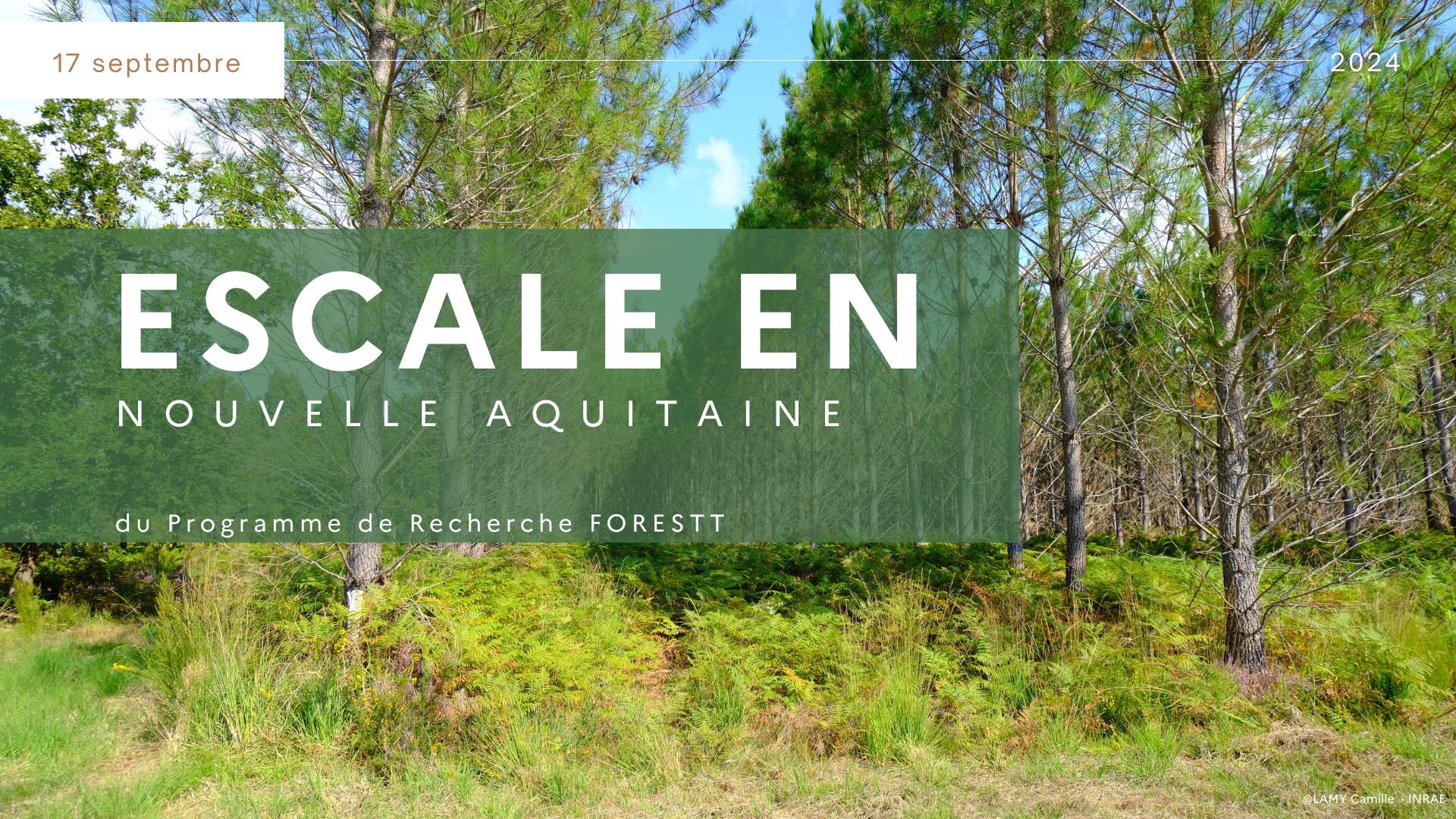Reportage photo Escale en Nouvelle Aquitaine Reportage photo Escale en Nouvelle Aquitaine