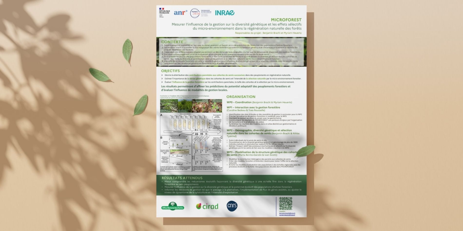 Poster MICROFOREST Poster MICROFOREST