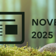 Bannière site - Actus 2025.png