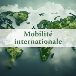 Mobilité internationale Mobilité internationale